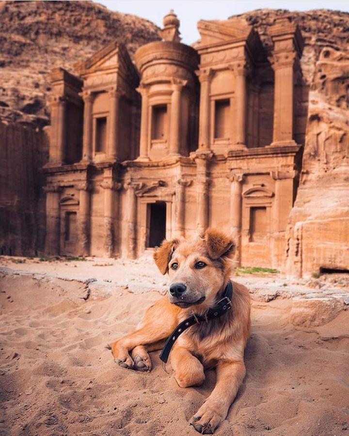 Petra Boxtel Hostel Wadi Musa Exteriér fotografie